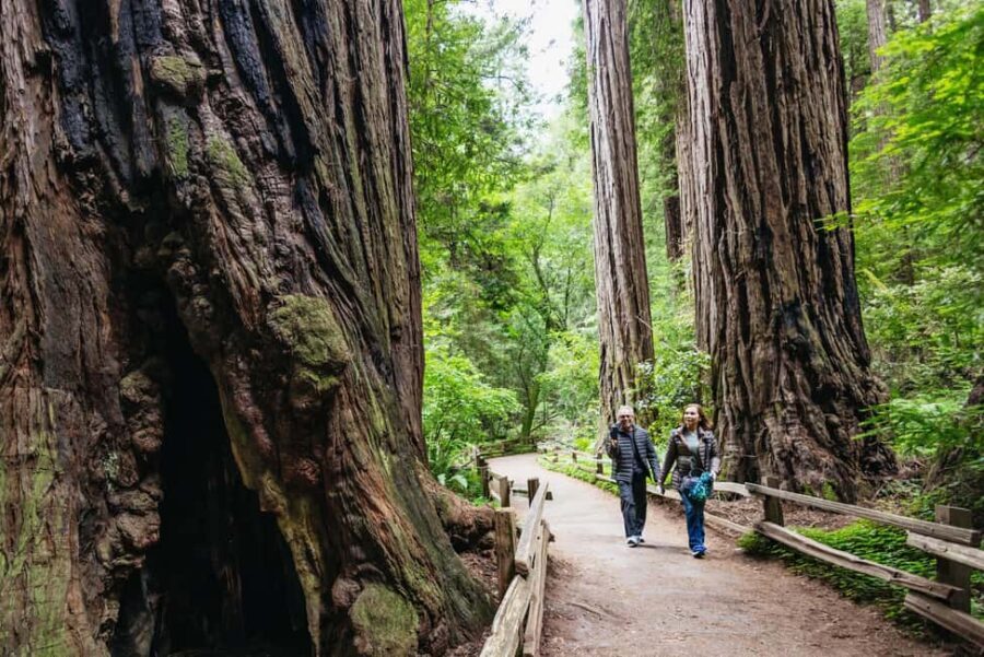 From San Francisco: Muir Woods, Sausalito and Alcatraz Tour - Practical Aspects of the Tour