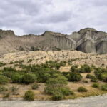 From Tbilisi: Vashlovani National Park Day Trip - What’s Included and What to Bring