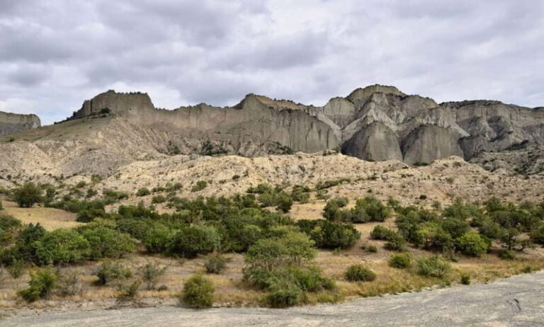 From Tbilisi: Vashlovani National Park Day Trip - What’s Included and What to Bring