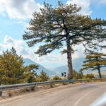 From Tirana: Day Trip at Sazan Island- Karaburun Peninsula - Breaking Down the Cost and Value