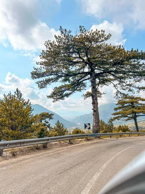 From Tirana: Day Trip at Sazan Island- Karaburun Peninsula - Breaking Down the Cost and Value