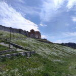 From Tirana:(Private) UNESCO Berat City & Castle Guided Tour - Transportation and Practical Details