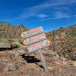 From Torre de Moncorvo: an Immersive Tour through Douro - Highlights of the Tour