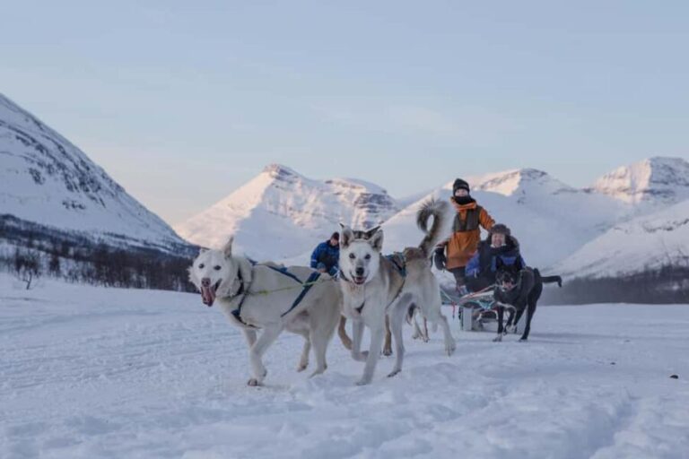 From Tromsø: Advanced Dog Sledding Daytime & Snow Park Visit - The Value of This Tour