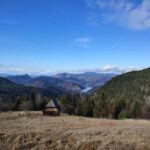 From Zlatibor/Uice: Tara National Park Adventure - What’s Included and What to Expect
