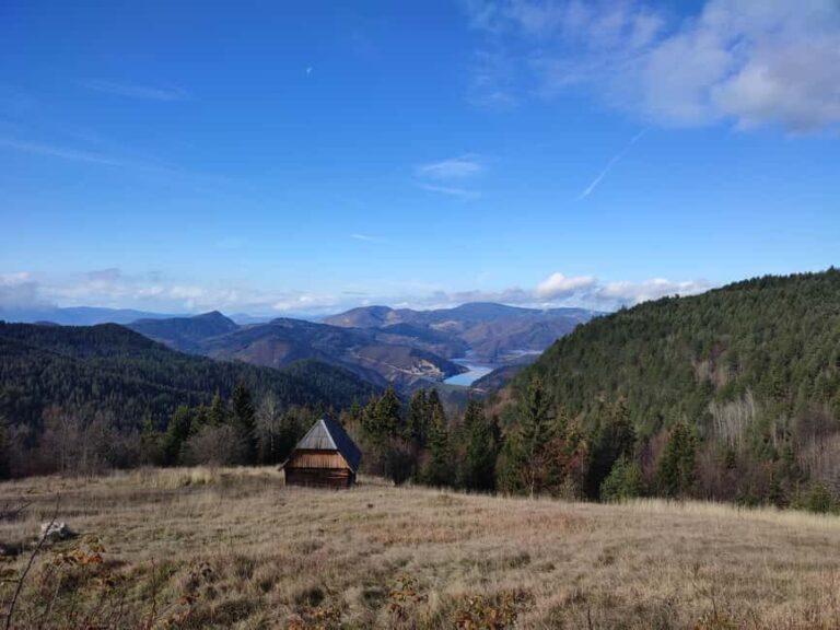 From Zlatibor/Uice: Tara National Park Adventure - What’s Included and What to Expect