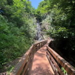 Full Day Tour from Batumi to Waterfalls - The Experience on the Ground