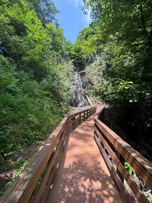 Full Day Tour from Batumi to Waterfalls - The Experience on the Ground