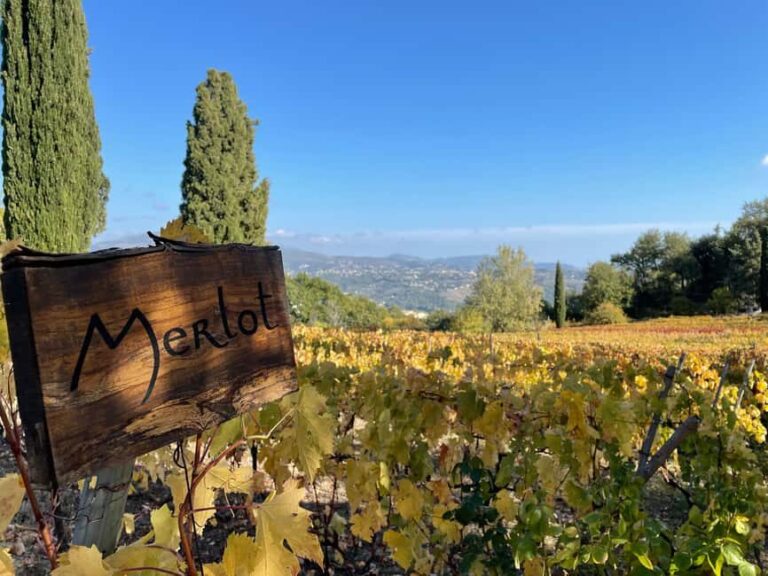 Full-Day Wine Tour in Bellet & Saint-Paul de Vence From Nice - What Makes This Tour Stand Out?