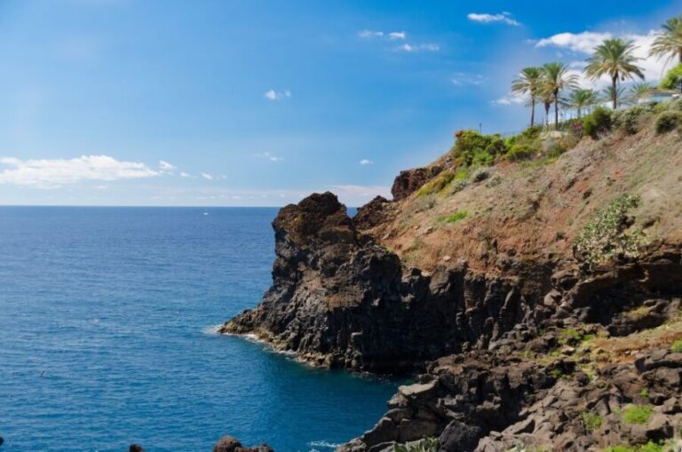 Funchal: Private Walking Tour with a Local - Authenticity and Personalization: What You Truly Get