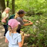 Gatlinburg: Adventure Hike and Craft for Kids - What’s Included and What’s Not?