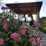 Gorika Brda: Wine Tasting with Local Snacks - The Experience Itself: Setting and Atmosphere