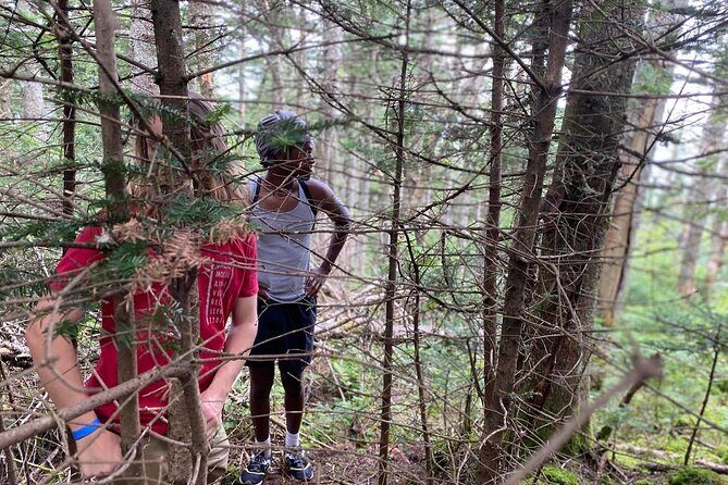 Green Mountain Adventure Challenge Passes - What can you expect during the adventure?