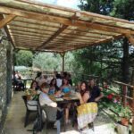 Greve in Chianti: Wine tasting and visit to our small winery - What You Should Know Before Booking