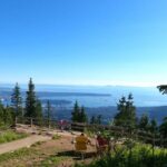 Grouse Mtn Stanley Park Hatchery Cleveland Dam Lynn Canyon Tour - Who Will Love This Tour?
