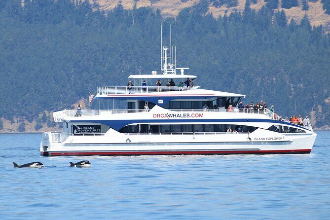 Guaranteed Whale Watch Tour from Anacortes - The Vessel and Comfort