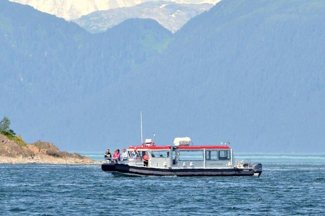 Guaranteed Whale Watching Adventure - Final Thoughts: Why You Should Book This Tour