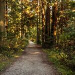 Guided Oceanside Private Hike - Real Insights from Past Participants