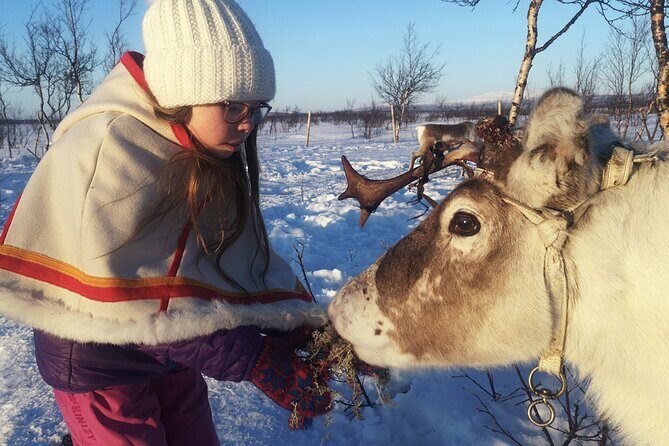 Guided Tour to Icehotel and Jukkasjärvi - Discovering the Icehotel and Jukkasjärvi