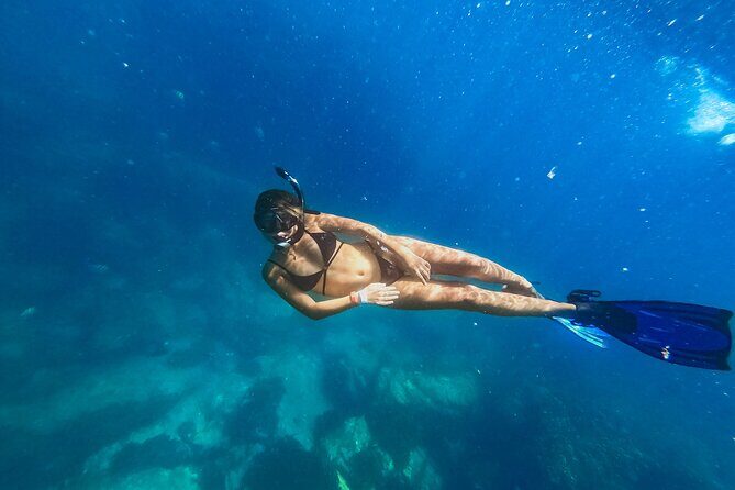 Half Day Cabo Snorkel Adventure with Lunch and Open Bar - What Makes This Tour Stand Out?