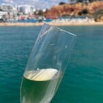 Half Day Cruise to Benagil Caves - Who Is This Tour Best For?