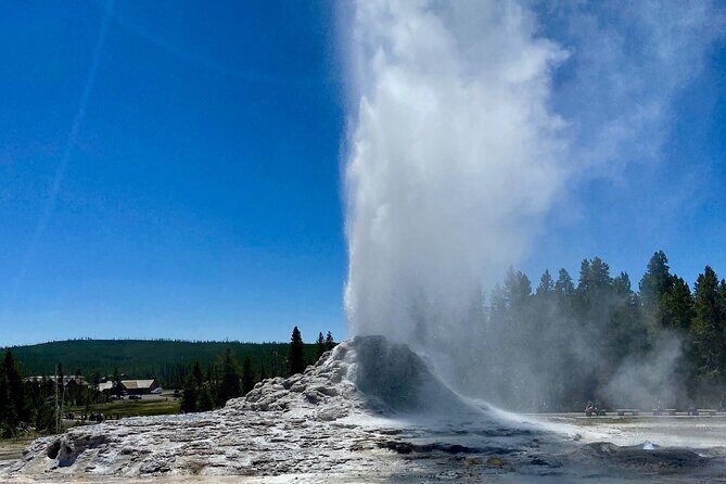 Half Day Private in Yellowstone Geyser Basin Tour - Why Choose This Tour?