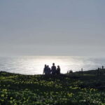 Half-day private tour in Lisbon viewpoints, Alfama & Belém - What to Expect from the Experience