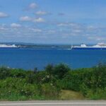 Harbor Highlights: Sydney City Tour - What Makes This Tour Stand Out