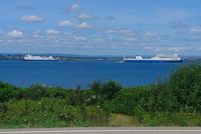 Harbor Highlights: Sydney City Tour - What Makes This Tour Stand Out