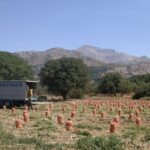 Heraklion to Spinalonga and Lasithi Plateau Land of Zeus - The Value of a Private Tour