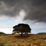 Hike Randi's Forest, Seychelles by Boat & Lunch - The Practical Side: What You Need to Know