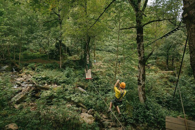 Hiking in Batumi ( Mtirala National Park) - Value and Practicalities