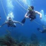 Hookah Diving Adventure in Zihuatanejo - Final Thoughts