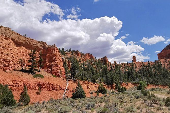Horseback Riding Experience through Red Canyon with a Guide - Who Will Love This Tour?