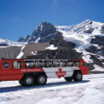 Icefield: Icefield Parkway, Bow Lakes & Peyto Lakes Day Tour - What To Expect: Practical Insights