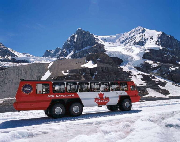Icefield: Icefield Parkway, Bow Lakes & Peyto Lakes Day Tour - What To Expect: Practical Insights