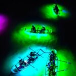 Inclusive Glass Boat Rental Peanut Island Snorkel Gear & Snacks - The Experience: What Travelers Can Expect