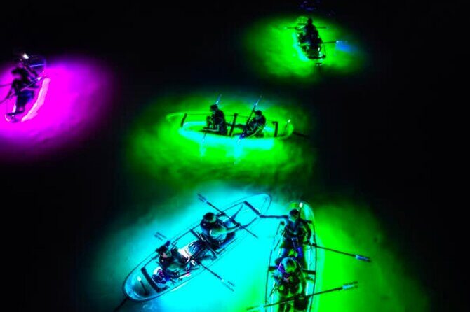 Inclusive Glass Boat Rental Peanut Island Snorkel Gear & Snacks - The Experience: What Travelers Can Expect