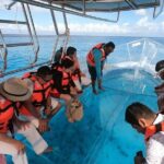 Incredible Transparent Boat Ride in Cancun - Authentic Marine Encounters