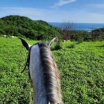 Ixtapa-Zihuatanejo: Horseback Riding Tour - Practical Details and What’s Included
