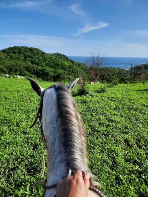 Ixtapa-Zihuatanejo: Horseback Riding Tour - Practical Details and What’s Included