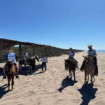 Jungle and beach horseback ride + lunch + mezcal - Exploring the Itinerary in Detail