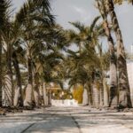 Key West Street Food Private Local Guided Tour - Exploring the Practical Details