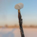 Kiruna: Snowshoe Hike & Ice fishing Tour - Breaking Down the Tour: What You Can Expect