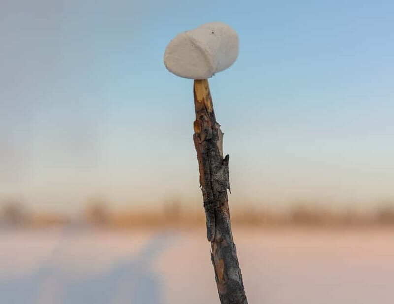 Kiruna: Snowshoe Hike & Ice fishing Tour - Breaking Down the Tour: What You Can Expect