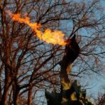 Krakow: Fairy Tales and Legends Guided Family Tour - Practical Details and What to Expect