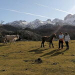 Lakes of Covadonga and Sanctuary of Covadonga: Guided and interpreted tour - What Travelers Can Expect