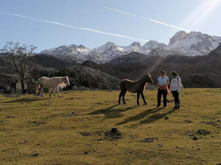 Lakes of Covadonga and Sanctuary of Covadonga: Guided and interpreted tour - What Travelers Can Expect