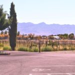 Las Vegas / Pahrump Wine Tasting Tour and snacks - What to Expect from the Pahrump Wine Tasting Tour