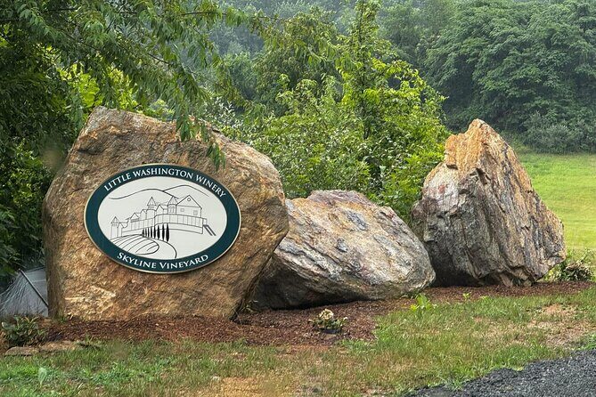 Learning Lunch of Wine and Food Pairing with Winemaker Donna - Who Should Book This Tour?